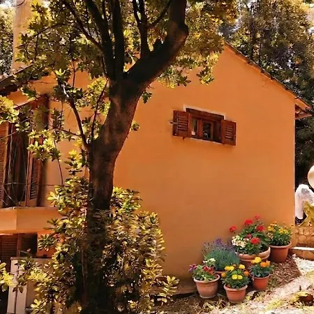 Bosco Recinto - 1 Hour From Rome - Umbria * Amelia