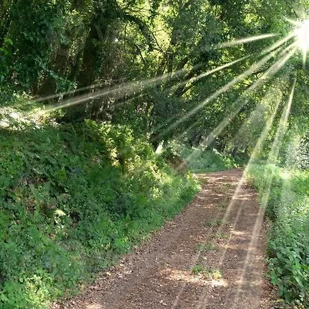 Ferienhaus Bosco Recinto - 1 Hour From Rome - Umbria