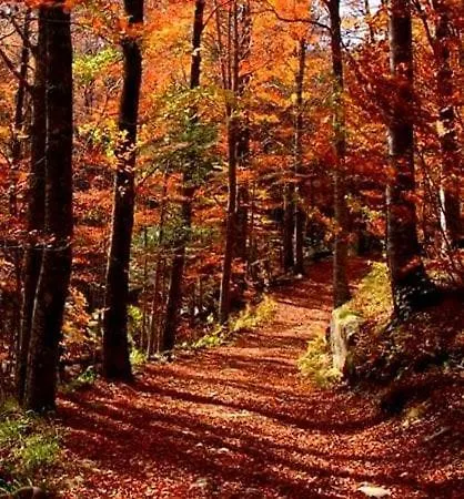 Bosco Recinto - 1 Hour From Rome - Umbria * Amelia