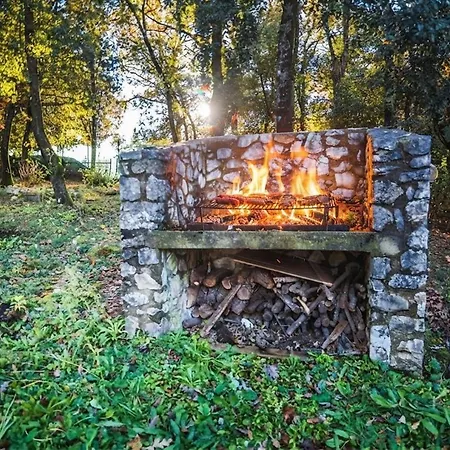 Bosco Recinto - 1 Hour From Rome - Umbria